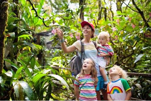 Essential Oils and Travel- A Complete Guide