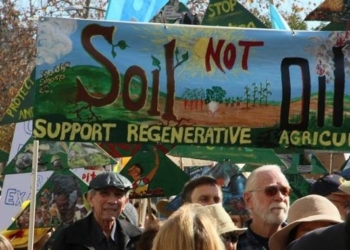Regenerative Agriculture Is Key for a Sustainable Climate and Food System