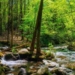 Speak the Name of Beauty (Understand the Connection Between Nature and Beauty)