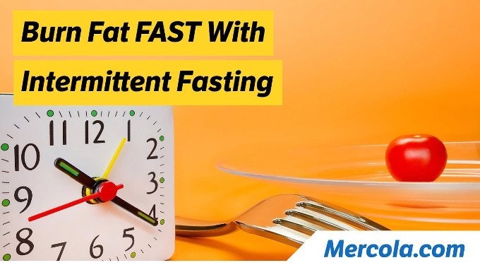 The Science Behind Time-Restricted Eating