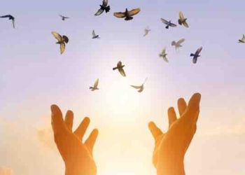 What is the Precursor to a Life Well Lived?