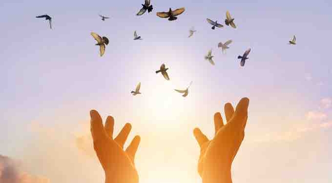 What is the Precursor to a Life Well Lived?