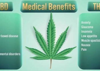 CBD vs. THC: Differences, Benefits, and Effects
