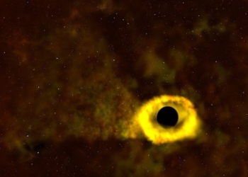 ‘Lucky’ Observation: Scientists Watch A Black Hole Shredding A Star