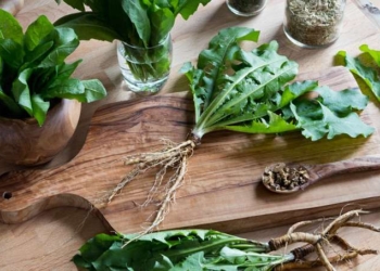 16 Health Benefits of Dandelion