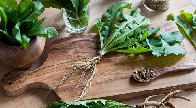 16 Health Benefits of Dandelion