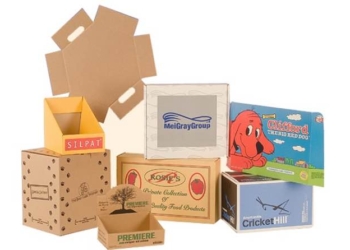 While Choosing Eco-Friendly Food Boxes You Should Be Aware of Few Things