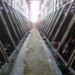 Swiss Voters to Decide on Whether to Allow Factory Farming to Continue in ‘Milestone’ Moment