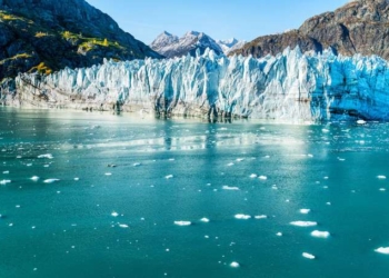 What’s the Difference Between Global Warming and Climate Change?