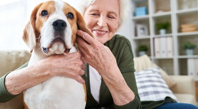 5 Magical Ways Pets Help Cure Loneliness