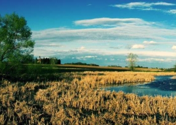 Trump Rollback of Key EPA Water Protection Rule Denounced as ‘Callous’ and ‘Immoral’ Giveaway to Big Polluters