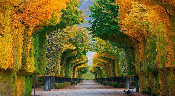 Four Step Process Any Time You Feel Out of Balance