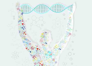 6 Bodily Tissues That can be Regenerated Through Nutrition