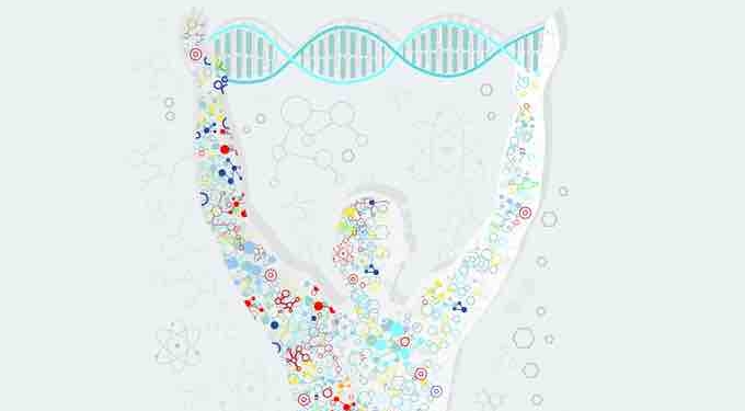 6 Bodily Tissues That can be Regenerated Through Nutrition