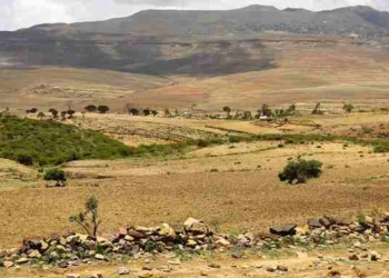 ‘Grand African Savannah Green Up’: Major $85 Million Project Announced to Scale up Agroforestry in Africa