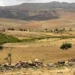 ‘Grand African Savannah Green Up’: Major $85 Million Project Announced to Scale up Agroforestry in Africa