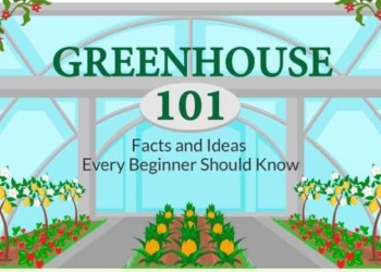 Greenhouse 101 – Facts and Ideas Every Beginner Should Know