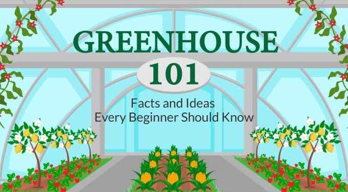 Greenhouse 101 – Facts and Ideas Every Beginner Should Know