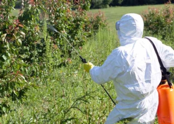 California Bans Pesticide Linked to Brain Damage in Children