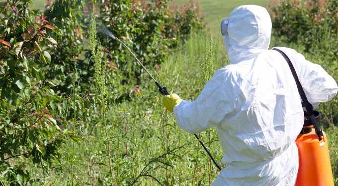 California Bans Pesticide Linked to Brain Damage in Children