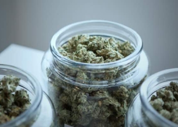 Why Cannabis Is The New Kale