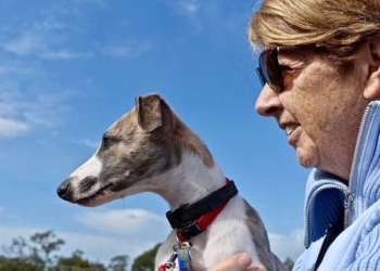 What Dog Fits Me Best Quiz – Take it Now!