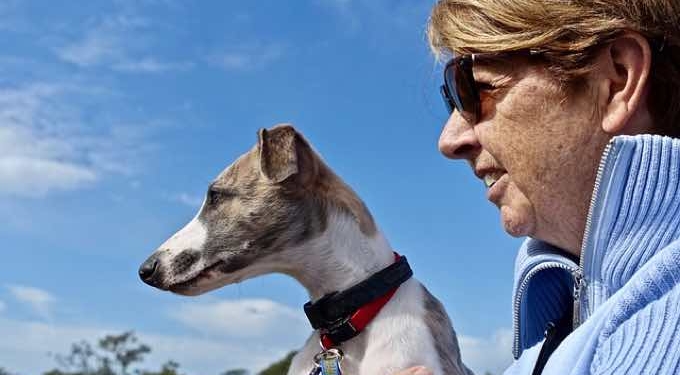 What Dog Fits Me Best Quiz – Take it Now!