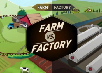 To Combat Dishonest Marketing, New ‘Farm vs. Factory’ Website Contrasts Industrial and Sustainable Agriculture