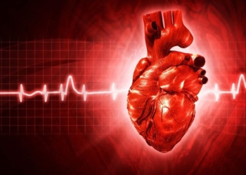 The Heart Disease Link You Didn’t Know About