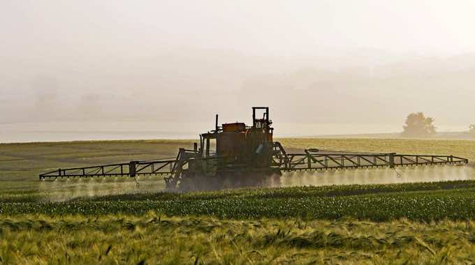 Everything You Need to Know About Monsanto’s Roundup