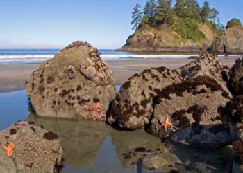 California Returns Sacred Island to Native American Tribe It Was Stolen From in 1860 Massacre