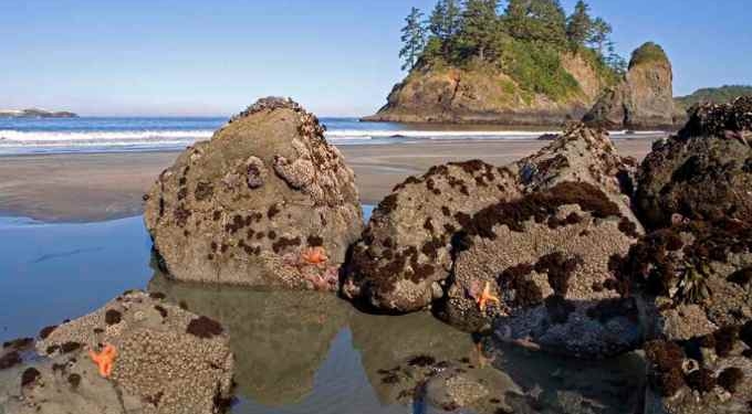 California Returns Sacred Island to Native American Tribe It Was Stolen From in 1860 Massacre