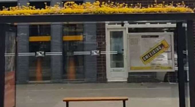 This City Turned Its Bus Stops Into ‘Bee Stops’ – and It’s the Best Thing Ever