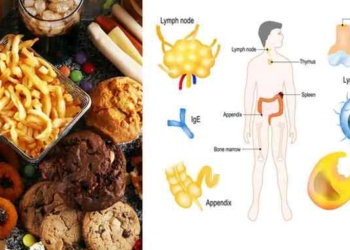 Doctors Reveal the Impact of Fast Food on Your Body