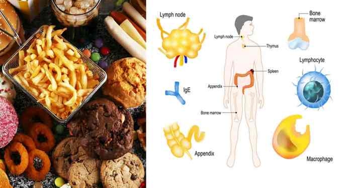 Doctors Reveal the Impact of Fast Food on Your Body