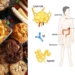 Doctors Reveal the Impact of Fast Food on Your Body