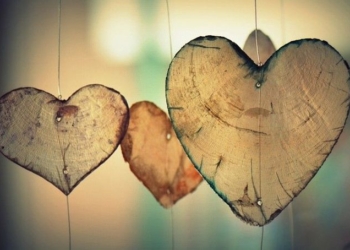 Getting to the Heart of the Matter
