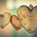 Getting to the Heart of the Matter