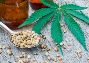 Top 7 Health Benefits Of Consuming Hemp Seed and Protein