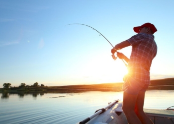 ‘Landmark New Research’ Links Neonics With Collapse of Fisheries