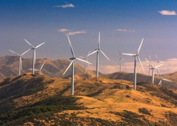 New Zealand Wins Global Praise for ‘Historic’ Law to Bring Net Carbon Emissions to Zero by 2050