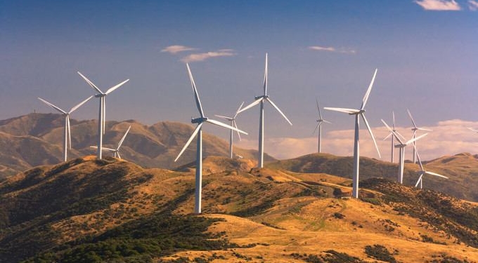 New Zealand Wins Global Praise for ‘Historic’ Law to Bring Net Carbon Emissions to Zero by 2050