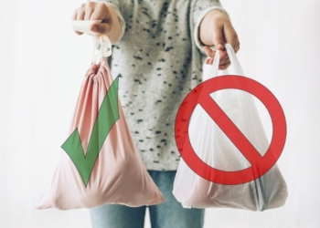 How Do We Stop Our Dangerous Addiction to Plastic?