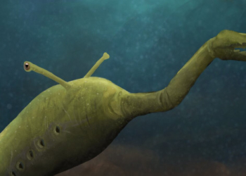 The Mysterious ‘Tully Monster’ Fossil Just Got More Mysterious