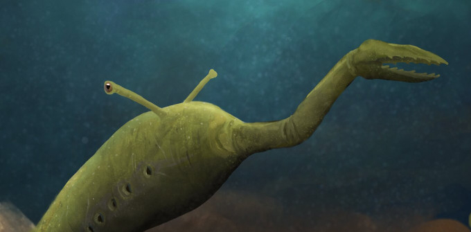 The Mysterious ‘Tully Monster’ Fossil Just Got More Mysterious