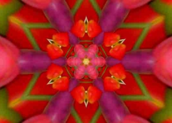 A Glossary of Higher Consciousness