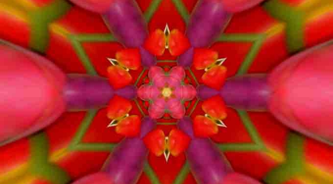 A Glossary of Higher Consciousness