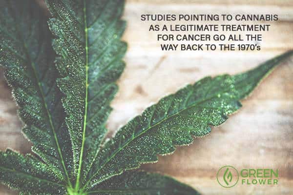 There Are Now 100 Scientific Studies Proving Cannabis Cures Cancer