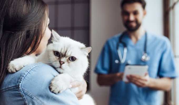 The Other Side of Being a Pet Owner