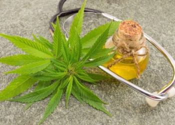 CBD Oil vs Hemp Oil: The Differences